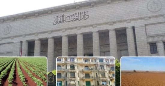 5 مبادئ لدعاوى بطلان التصرفات المخالفة لقانون تنظيم تملك الأجانب.. برلمانى