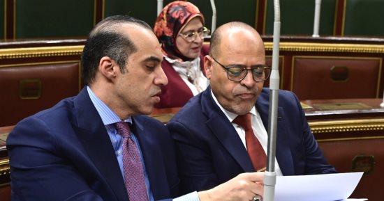 وزير العمل: لن نتوانى عن الحفاظ على كرامة العامل المصرى فى الخارج