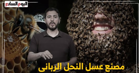 أصغر مصنع فى الكون داخل حشرة.. شاهد مراحل إنتاج العسل مع تليفزيون اليوم السابع