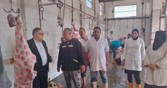 24 مجزرا جاهزة لاستقبال الأضاحى فى الدقهلية.. "الطب البيطرى" تجرى جولات مكثفة للتأكد من الاستعداد لعيد الأضحى وحملات توعية لحفظ اللحوم.. والتعويض عن الإعدام الكلى الكامل للذبيحة والتخلص من المخلفات بطريقة آمنة
