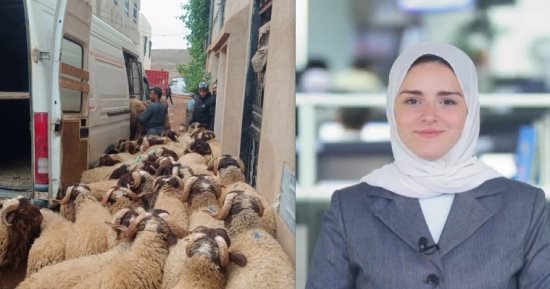 المغرب يحظر ذبح الأضاحى فى عيد الأضحى.. وتليفزيون اليوم السابع يكشف التفاصيل