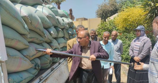 توريد أكثر من 167 ألف طن قمح حتى الآن فى سوهاج