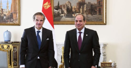 الرئيس السيسى يستقبل مدير عام الوكالة الدولية للطاقة الذرية 