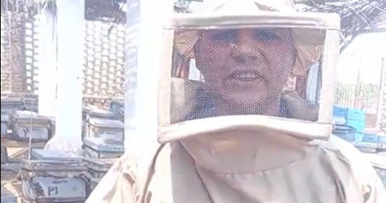 3 علامات هتقولك عسل النحل أصلي ولا مغشوش.. مباشر من منحل محطة البحوث في سخا