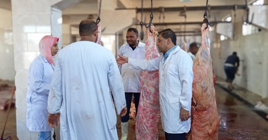 مدير بيطرى الأقصر يقود جولة لمتابعة استعدادات المجازر لعيد الأضحى.. صور