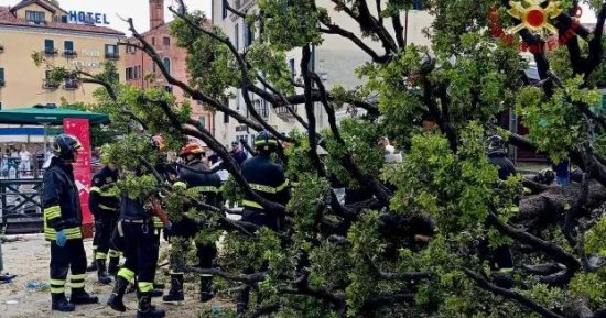إصابة 12 شخصا بينهم سياح فى البندقية إثر سقوط شجرة بلوط "صور"