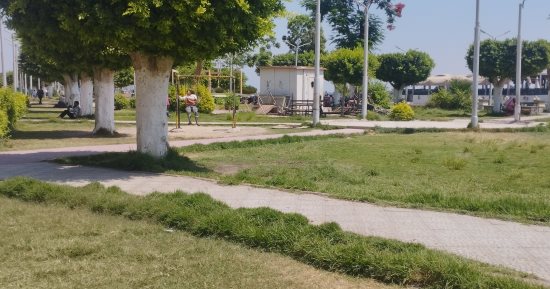 طقس معتدل ونشاط للهواء البارد  على الصعيد.. مباشر