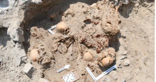 علماء آثار بولنديون يكتشفون مقبرة فى بيرو تضم ضحايا غزو عمره قرون