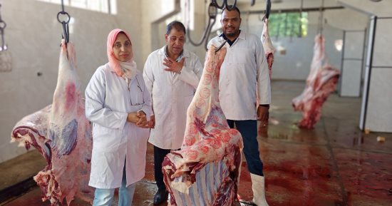 فتح المجازر بالمجان للمواطنين والمؤسسات الخيرية طوال أيام عيد الأضحى بالأقصر