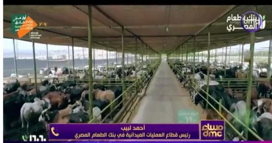بنك الطعام المصرى: لدينا 350 ألف أسرة مسجلين فى قواعد بيانات بجميع المحافظات