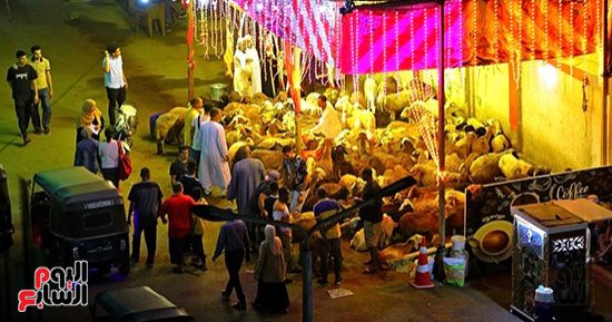 يا ليلة العيد أنستينا.. مظاهر استقبال عيد الأضحى فى الشوارع 