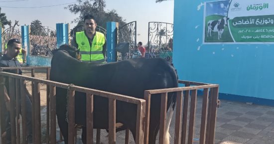 فى ثانى أيام العيد.. توزيع اللحوم على الأولى بالرعاية في بني سويف