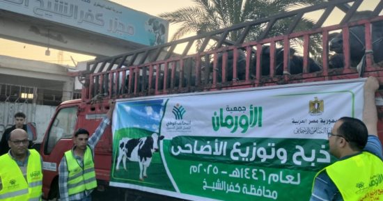 استمرار ذبح وتوزيع لحوم الأضاحى على الأسر الأولى بالرعاية فى كفر الشيخ