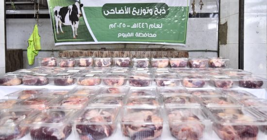 التضامن تشرف على ذبح وتوزيع لحوم الأضاحى على الأسر الأولى بالرعاية بالفيوم