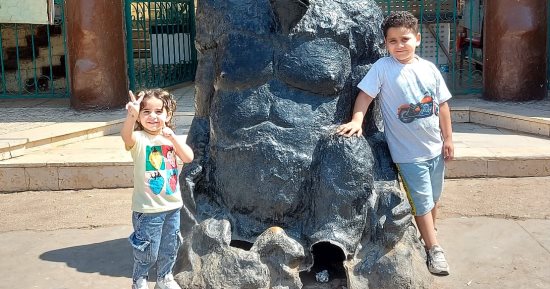 خروجة العيد على قد الإيد.. المصريون يحتفلون بثانى أيام عيد الأضحى فى الحديقة الدولية.. العائلات يفترشون المسطحات الخضراء والبهجة بأحضان الطبيعة.. والأطفال بفرحة خاصة من الملاهى للطفطف.. وتنظيم محكم وتأمين شامل