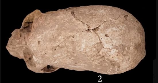 لغز العثور على جمجمة مخروطية الرأس عمرها 6200 عام في إيران