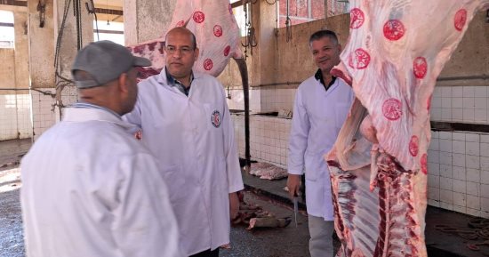 16 مجزرا استقبلت 2593 رأس ماشية من الأضاحي بكفر الشيخ