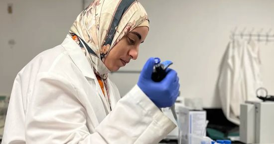 بمشاركة باحثة مصرية.. دراسة تبحث استخدام إنزيم فى خيار البحر لعلاج السرطان