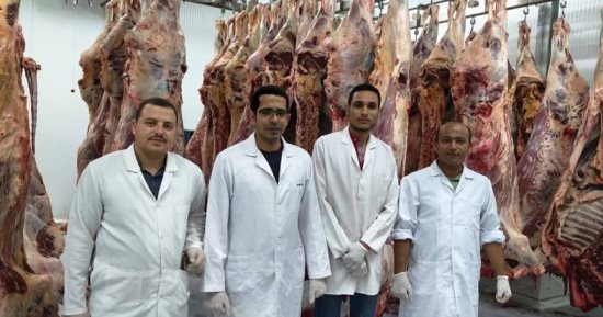 الانتهاء من ذبح 875 رأسا ضمن مشروع صكوك الأضاحى بالوادى الجديد