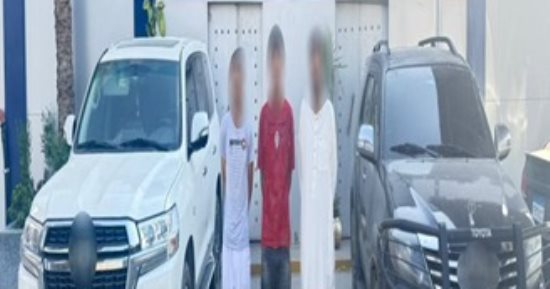 الداخلية تكشف تفاصيل فيديو ترويع أفراد أمن بالقاهرة 