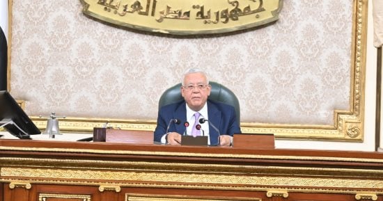 النواب يوافق على مواد الإصدار بقانون تنظيم ملكية الدولة فى الشركات المملوكة لها