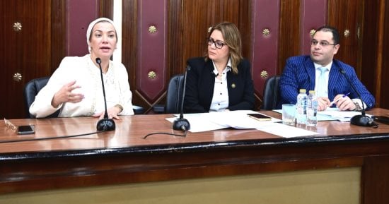 وزيرة البيئة للنواب: نجحنا فى تحويل الملف البيئي إلى قصه نجاح تنموية