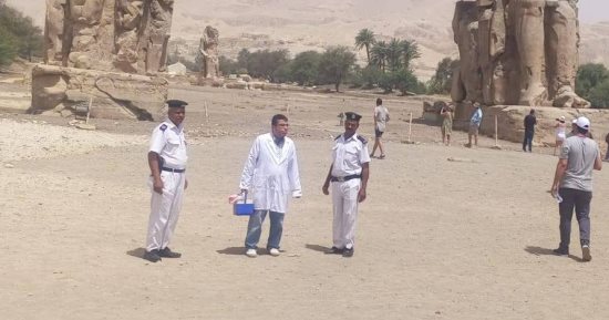 فرق من الطب البيطرى تحصن الكلاب الضالة فى منطقة تمثالى ممنون الأثرية غرب الأقصر.. صور