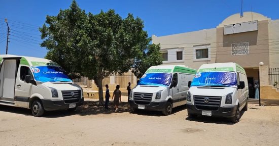 حياة كريمة.. الكشف على 833 مواطن ببئر العبد فى قافلة طبية مجانية