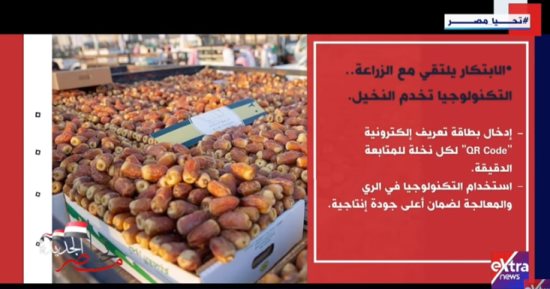 "إكسترا نيوز" تعرض تقريرا عن أكبر مزرعة تمور في العالم داخل مصر