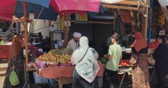 أسواق الوادي الجديد تشهد استقرارا فى أسعار الخضراوات والفاكهة