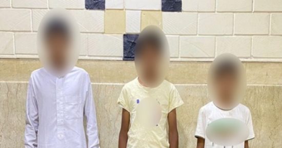 ضبط المتهمين بتسلق طائرة هيكلية في الشرقية