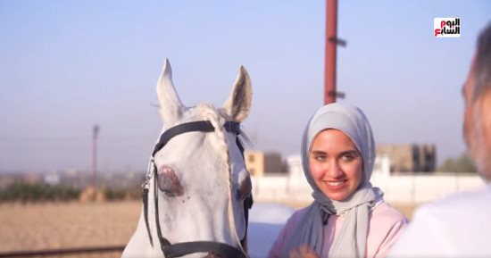 عالم الخيل العربي.. أسرار وحكايات في تقرير خاص على تليفزيون اليوم السابع