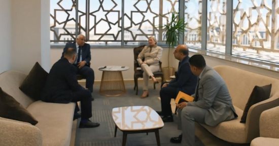 وزيرة البيئة تستقبل محافظ الوادي الجديد لبحث الاستثمار في تدوير المخلفات الزراعية