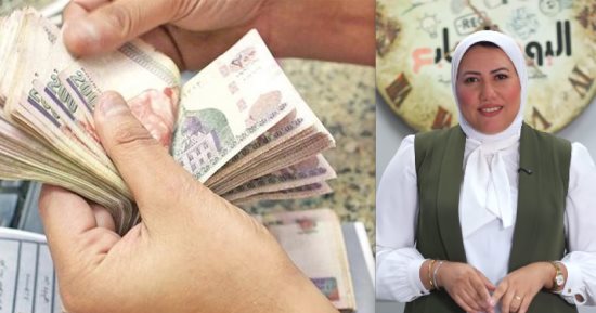 إلى ربات البيوت.. اعرفى إزاى تاخدى معاش ويبقى ليكى تأمين.. فيديو