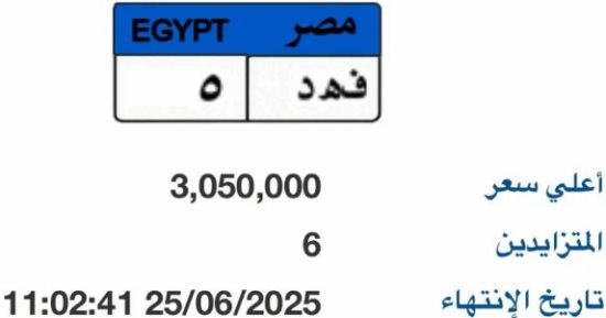 سعر "فهد - 5" يتخطى 3 ملايين جنيه فى مزاد اللوحات المميزة للسيارات.. فيديو