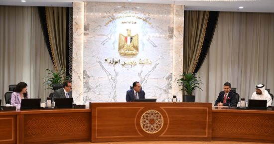 رئيس الوزراء يستعرض مع رئيس "برجيل القابضة" التعاون فى مجال زرع النخاع