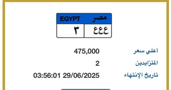 "ع ع ع- 3" أحدث لوحة سيارة مميزة مطروحة بالمزاد.. اعرف سعرها