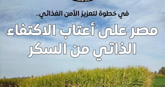 اكتفاء ذاتى من السكر.. مجلس الوزراء: بدءًا من 2026 لن تكون مصر بحاجة للاستيراد.. أرصدة السكر التموينى تكفى13 شهرًا و 16مليار جنيه لدعم محصول القصب.. 7 مليارات أخرى لعمليات التصنيع والصالحية الجديدة أبرز المصانع