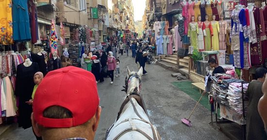 الأقصر تتألق في الموسم السياحي الصيفي باستقبال الزائرين من مختلف أنحاء العالم