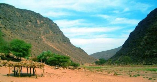 قرية أبرق.. جوهرة الجنوب وكنز محمية جبل علبة التاريخي والطبيعي