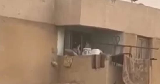 بعد واقعة "العاشر من رمضان".. تأثير العنف على نفسية الطفل وكيفية حمايته