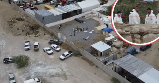 المكسيك تلجأ للخنازير والحشرات للعثور على المفقودين والمقابر الجماعية
