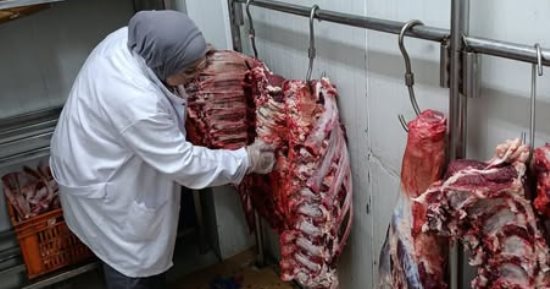 الحجر البيطرى إلزامى للحيوانات المستوردة ولحومها وفق القانون