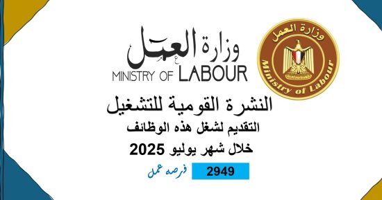 2949 فرصة عمل جديدة فى 44 شركة خاصة فى 10 محافظات.. تفاصيل