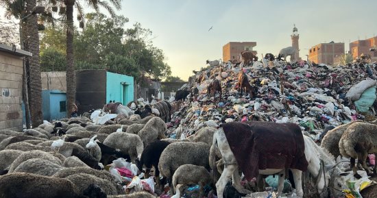 تلال القمامة تحاصر مقابر مدينة الحوامدية.. والأهالى يناشدون المسؤولين بالتدخل.. صور