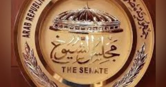ننشر تشكيل هيئات مكاتب اللجان النوعية بالشيوخ بالفصل التشريعى الثانى