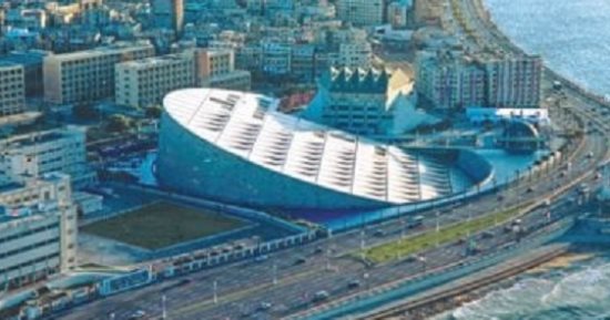 ترفيه ومعرفة..5 فوائد تعود عليك من زيارة معرض مكتبة الإسكندرية