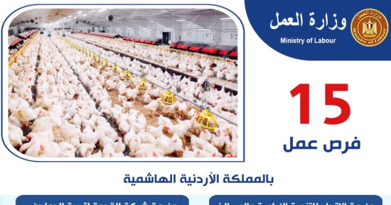 وزارة العمل: 15 فرصة عمل جديدة في الأردن في مجالات تربية الدواجن