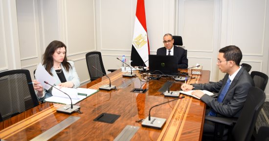وزير الخارجية يشارك في اللقاء الافتراضي مع الجالية المصرية بواشنطن ونيويورك