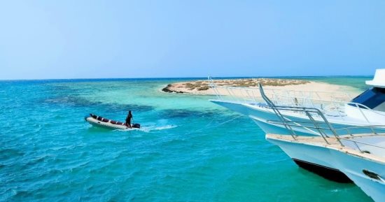 "جزيرة أم الشيخ" أهم مواطن الكائنات البحرية النادرة بالبحر الأحمر.. طبيعتها الساحرة جعلتها محمية مفتوحة.. يقصدها سياح العالم المهتمين بالنشاط البحرى.. ويستمتع من يغوص بالقرب منها لمشاهدة جمال الشعاب حولها.. صور